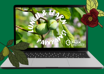 pawpaw lunch & learn
